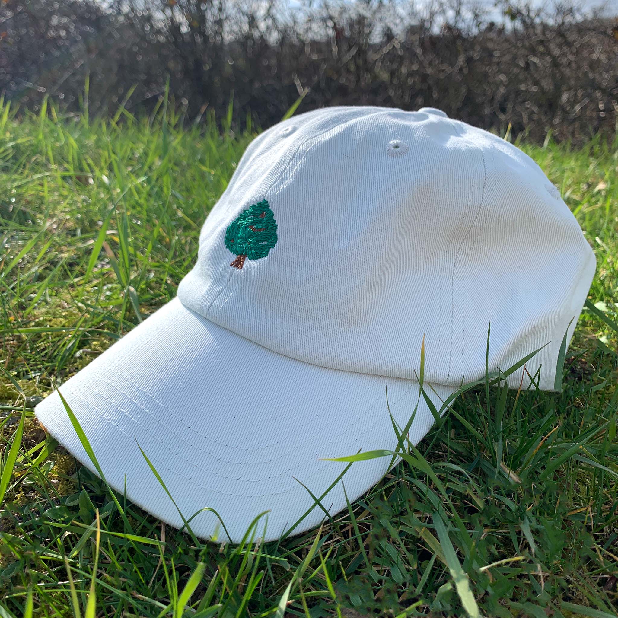 A Mint Green cap with a small tree embroidery on the front. The cap is sitting on a bed of green grass. 